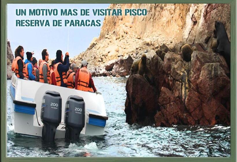 Hotel Campestre Corina | Pisco | Pisco | Perú 15