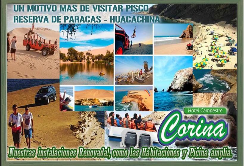 Hotel Campestre Corina | Pisco | Pisco | Perú 16