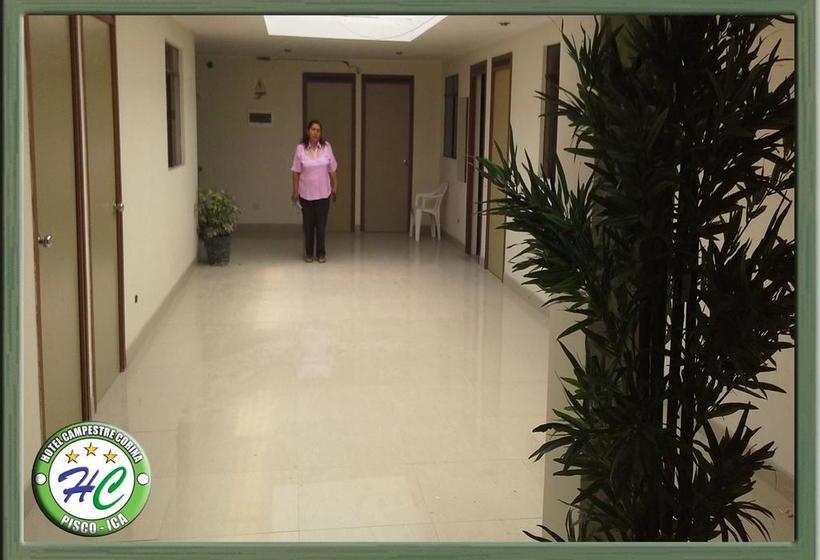 Hotel Campestre Corina | Pisco | Pisco | Perú 18