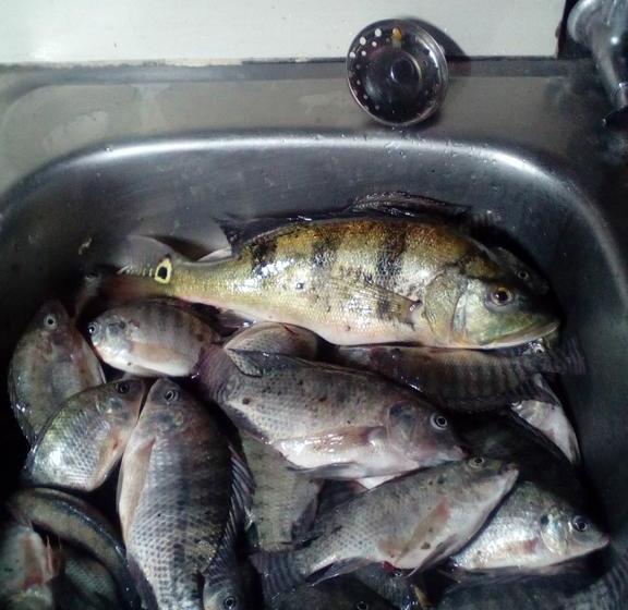 Albergue Francoperuano El Tambito | Sauce | San Martín | Perú 19