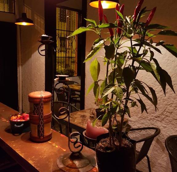 Alquimia Hostel | Medellín | Antioquia | Colombia 12