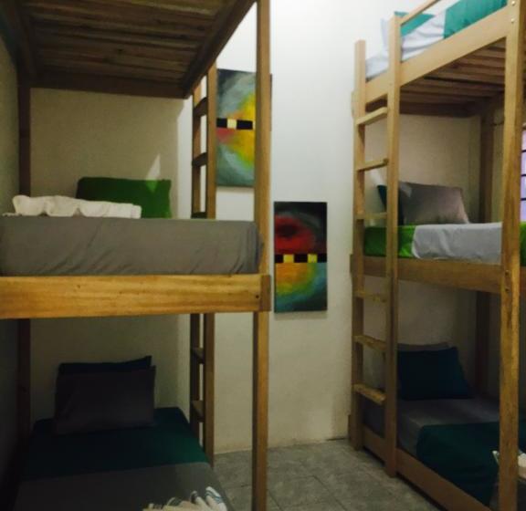 Alquimia Hostel | Medellín | Antioquia | Colombia 15