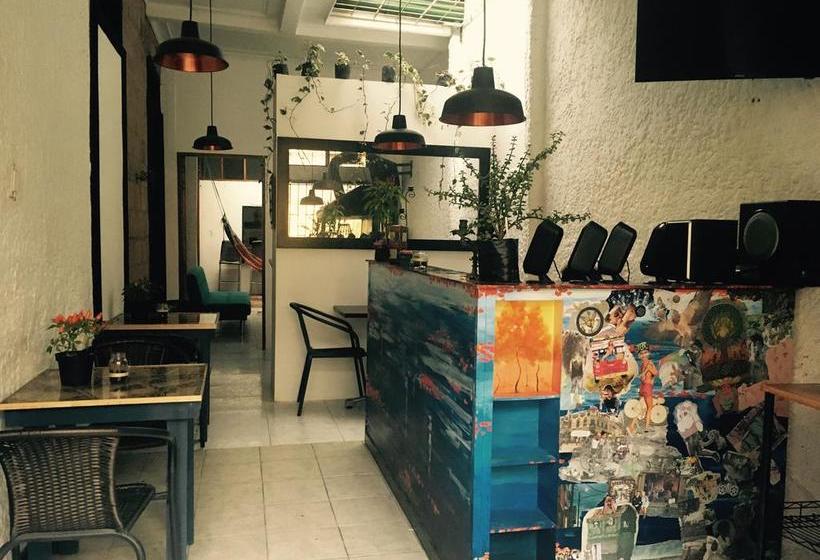 Alquimia Hostel | Medellín | Antioquia | Colombia 2