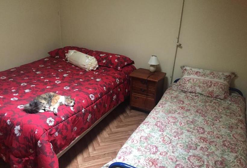 Bed and Breakfast Hostal Central | Punta Arenas | Magallanes y Antartica | Chile 6