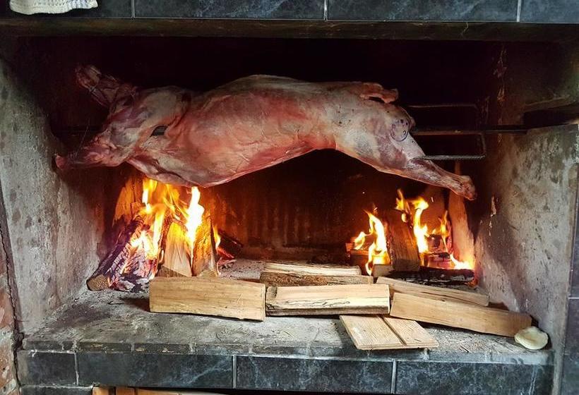 Albergue Backpackers Nataly | Puerto Natales | Magallanes y Antartica | Chile 10