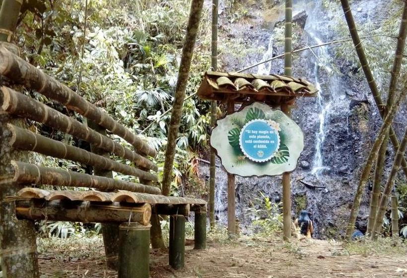 Finca Hotel La Moraleja | Calarcá | Quindío | Colombia 13