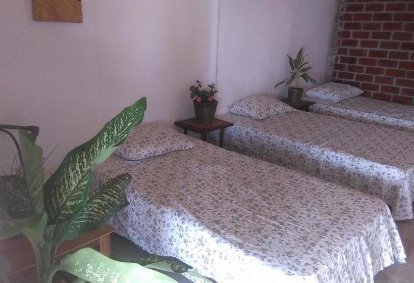 Hotel Naylamp House & Rooms | Máncora | Talara | Perú 1