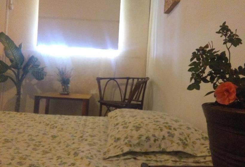 Hotel Naylamp House & Rooms | Máncora | Talara | Perú 2