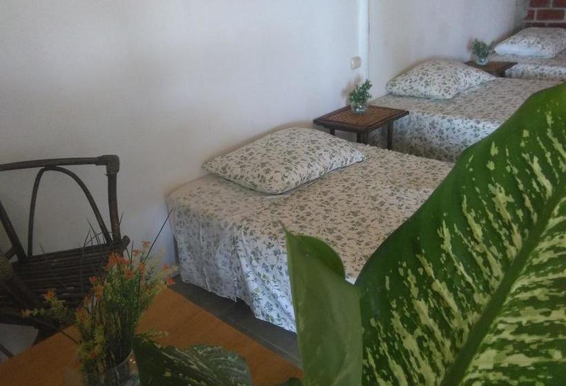 Hotel Naylamp House & Rooms | Máncora | Talara | Perú 5