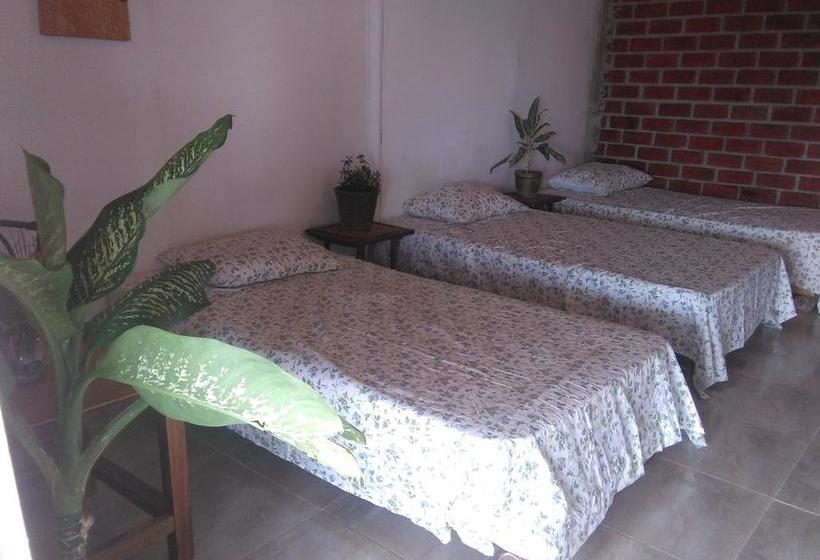 Hotel Naylamp House & Rooms | Máncora | Talara | Perú 9