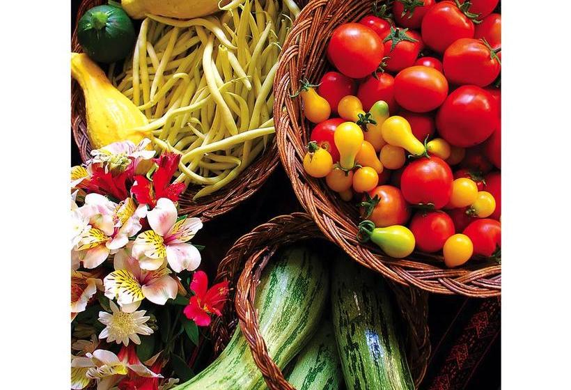 Hotel Willka T Ika | Urubamba | Urubamba | Perú 2