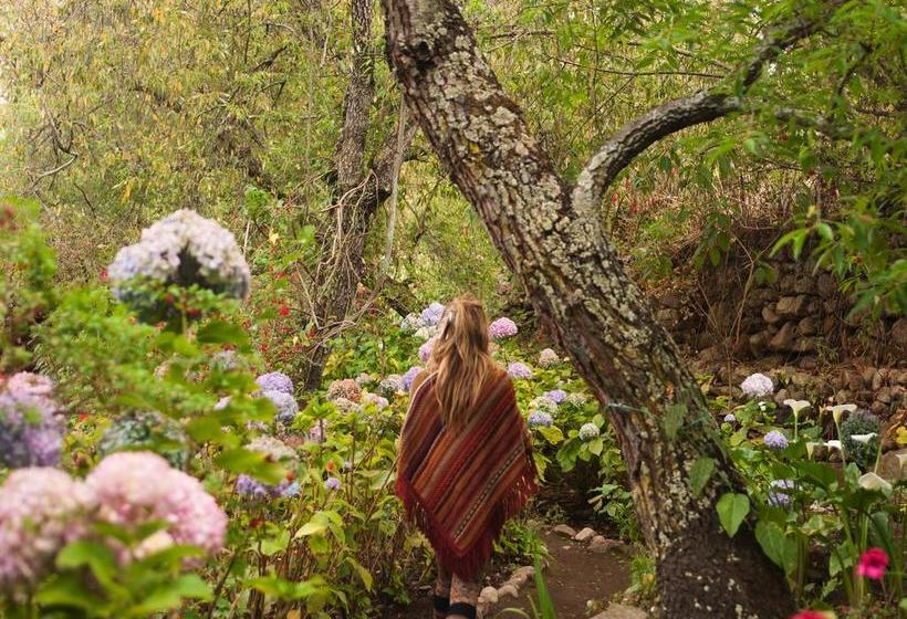 Hotel Willka T Ika | Urubamba | Urubamba | Perú 9