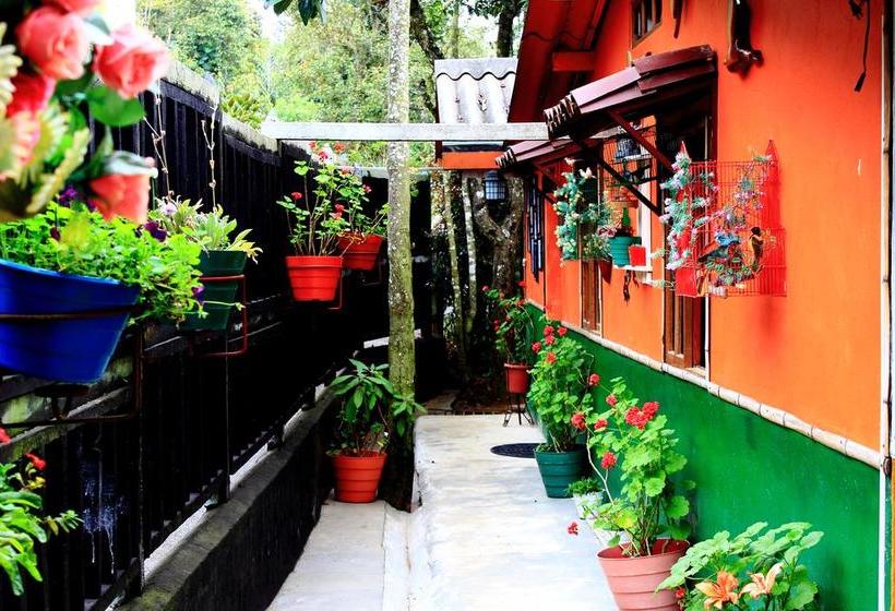 Hotel La Posada De Quevedo | Santa Helena | Antioquia | Colombia 20