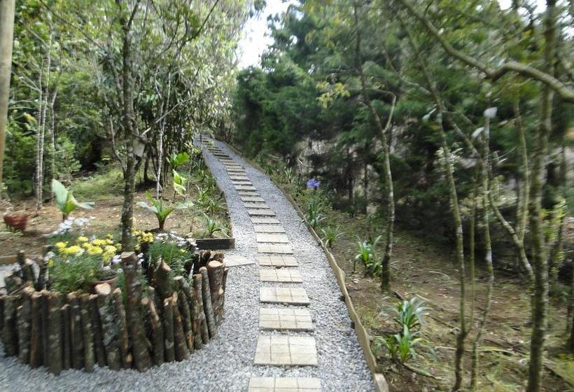 Hotel La Posada De Quevedo | Santa Helena | Antioquia | Colombia 7