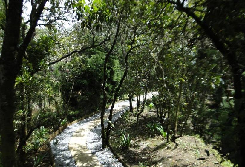 Hotel La Posada De Quevedo | Santa Helena | Antioquia | Colombia 8