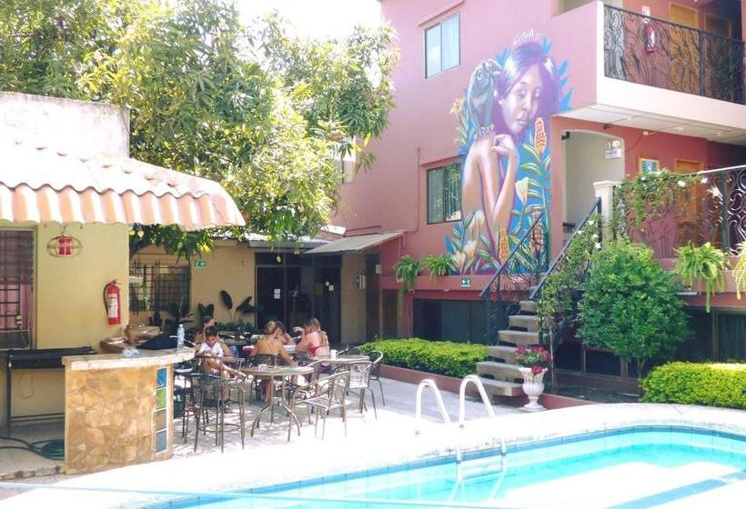 Hostel Nucapacha | Guayaquil | Guayas | Ecuador 3