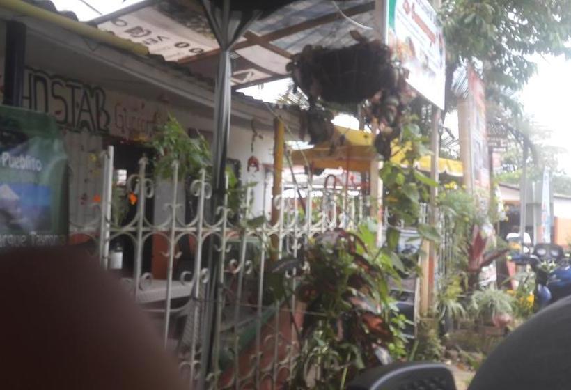 Hotel Hostal & Restaurante La Guacamaya | Minca | Magdalena | Colombia 11