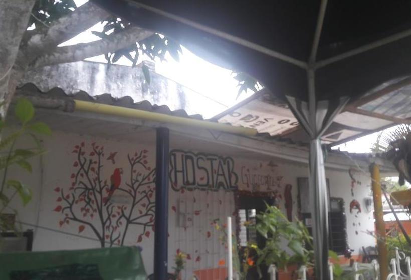 Hotel Hostal & Restaurante La Guacamaya | Minca | Magdalena | Colombia 12