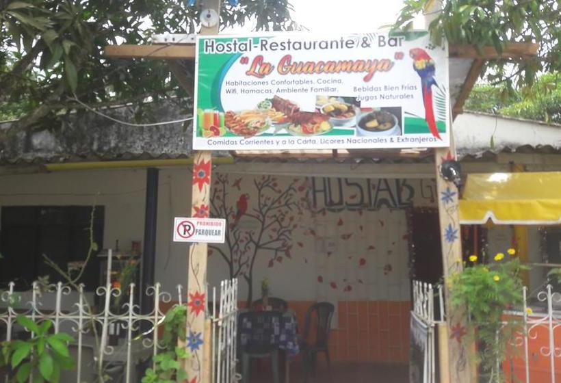 Hotel Hostal & Restaurante La Guacamaya | Minca | Magdalena | Colombia 15