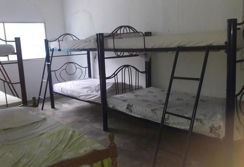 Hotel Hostal & Restaurante La Guacamaya | Minca | Magdalena | Colombia 16