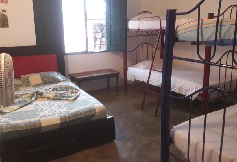 Hotel Hostal & Restaurante La Guacamaya | Minca | Magdalena | Colombia 6