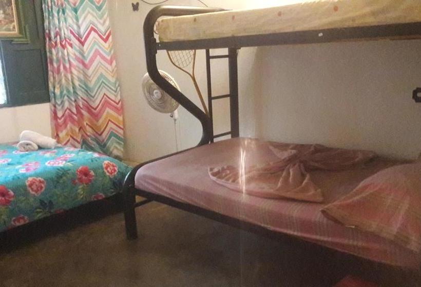 Hotel Hostal & Restaurante La Guacamaya | Minca | Magdalena | Colombia 7