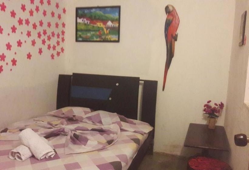 Hotel Hostal & Restaurante La Guacamaya | Minca | Magdalena | Colombia 9