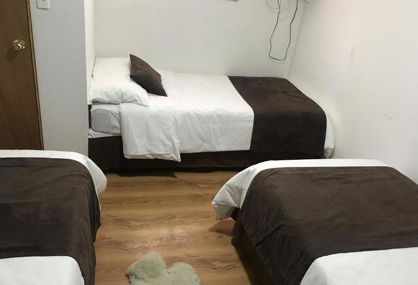 Albergue Tel Hauke Hostal | Punta Arenas | Magallanes y Antartica | Chile 7