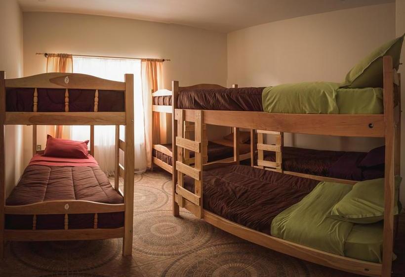 Albergue Sol De Invierno Backpackers | Punta Arenas | Magallanes y Antartica | Chile 20