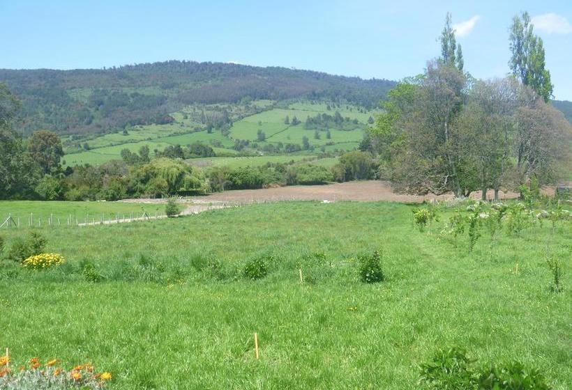 Bed and Breakfast White Dog Inn | Puerto Varas | Los Lagos | Chile 12