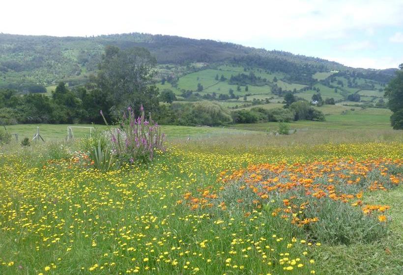 Bed and Breakfast White Dog Inn | Puerto Varas | Los Lagos | Chile 2