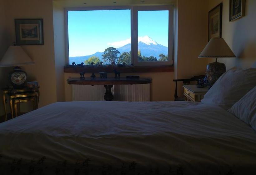 Bed and Breakfast White Dog Inn | Puerto Varas | Los Lagos | Chile 4