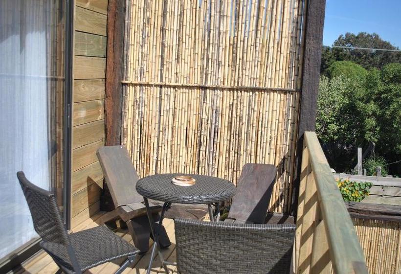 Albergue Pichilemu Hostal Boutique | Pichilemu | O'Higgins | Chile 11