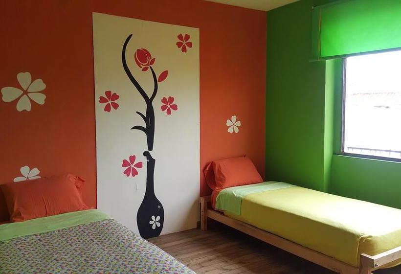 Hostel America Inn  Backpackers | Cuenca | Azuay | Ecuador 13