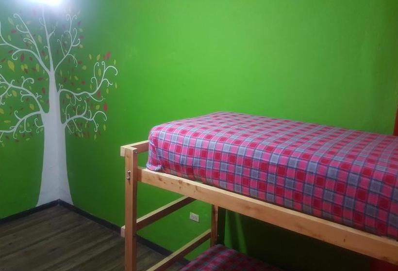 Hostel America Inn  Backpackers | Cuenca | Azuay | Ecuador 15