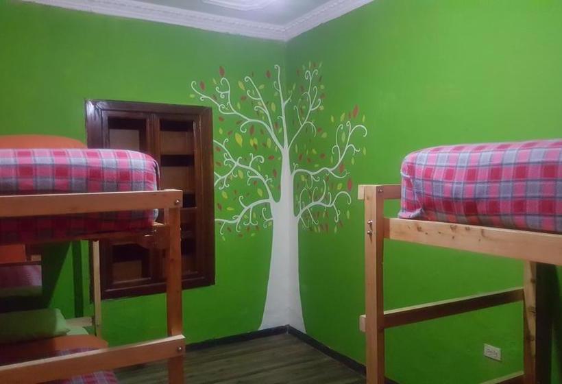 Hostel America Inn  Backpackers | Cuenca | Azuay | Ecuador 16