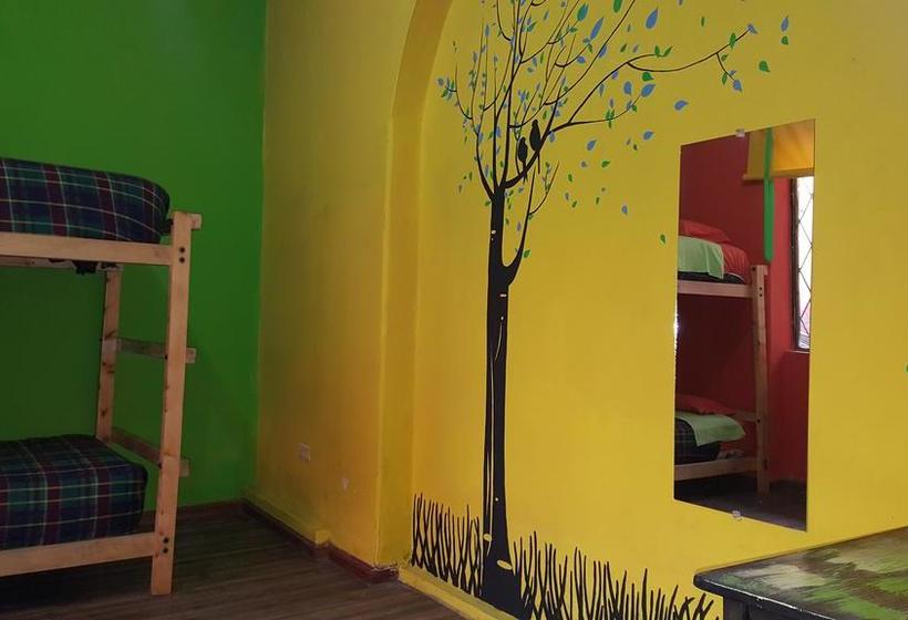 Hostel America Inn  Backpackers | Cuenca | Azuay | Ecuador 17