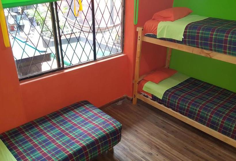 Hostel America Inn  Backpackers | Cuenca | Azuay | Ecuador 18