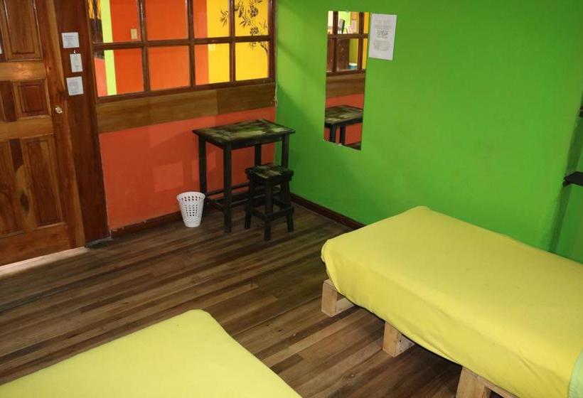 Hostel America Inn  Backpackers | Cuenca | Azuay | Ecuador 6