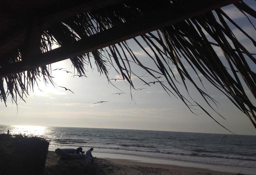 Hotel Ocean Canoas 178 | Canoas de Punta Sal | Contralmirante Villar | Perú 15