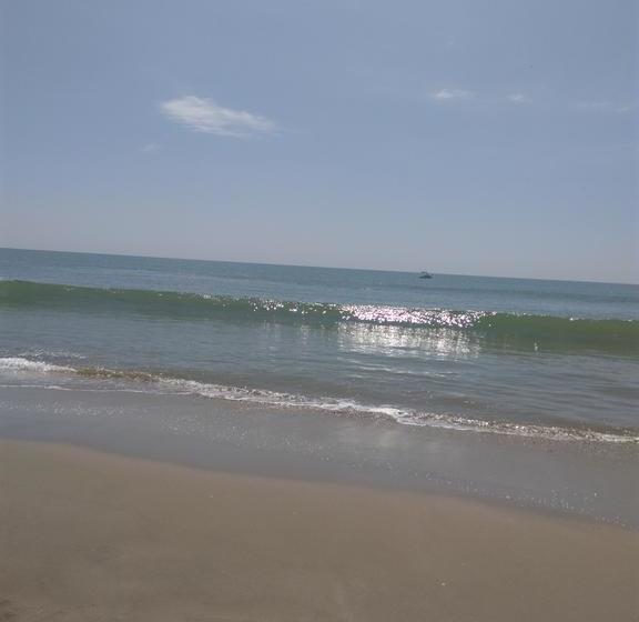 Hotel Ocean Canoas 178 | Canoas de Punta Sal | Contralmirante Villar | Perú 20