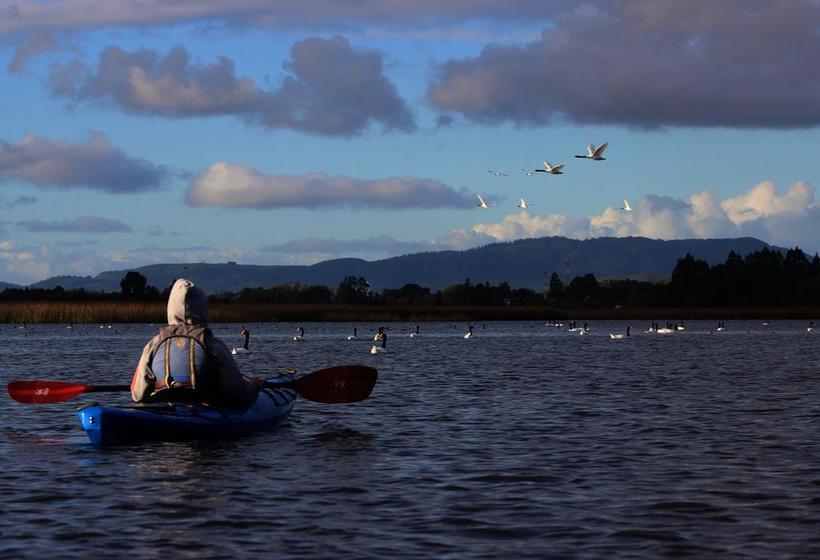 Bed and Breakfast Casa Río Vivo | Valdivia | Los Lagos | Chile 1