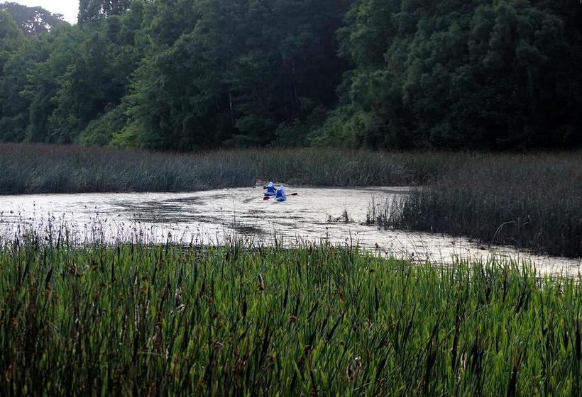 Bed and Breakfast Casa Río Vivo | Valdivia | Los Lagos | Chile 13
