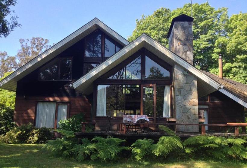 Bed and Breakfast Casa Río Vivo | Valdivia | Los Lagos | Chile 16