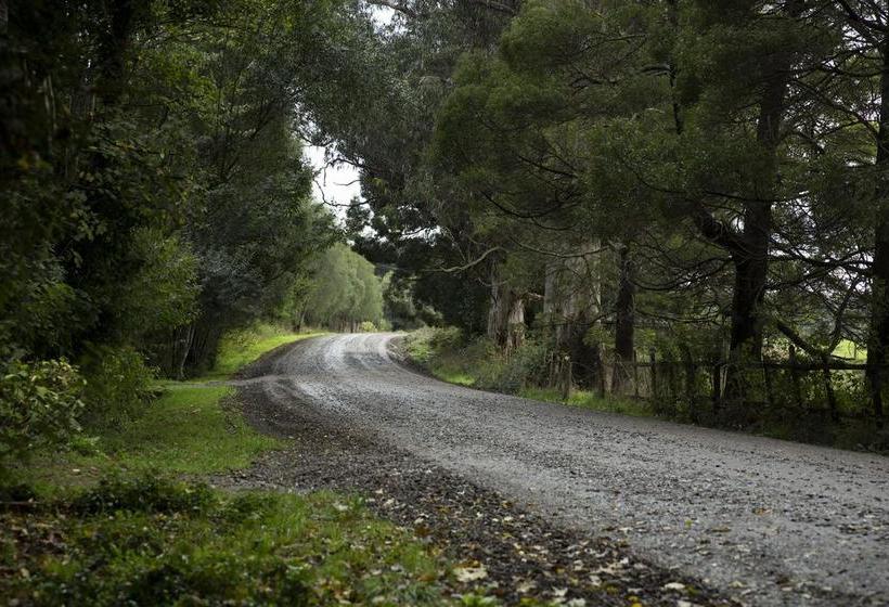 Bed and Breakfast Casa Río Vivo | Valdivia | Los Lagos | Chile 7