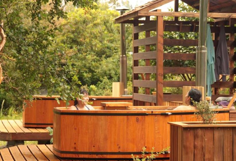 Bed and Breakfast Casa Río Vivo | Valdivia | Los Lagos | Chile 9