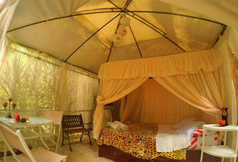 Albergue Hostal Rural Chitota | Bucaramanga | Santander | Colombia 16