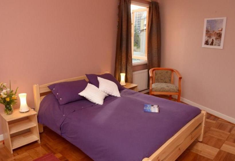 Am Weinberg Bed & Breakfast | Viña del Mar | Valparaiso | Chile 3