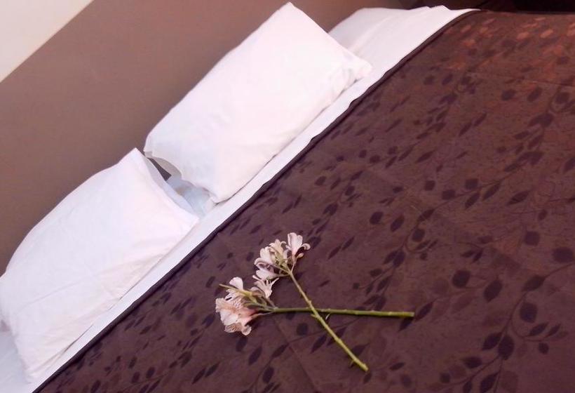 Hotel Estrellita Del Sur | Nasca | Nazca | Perú 4