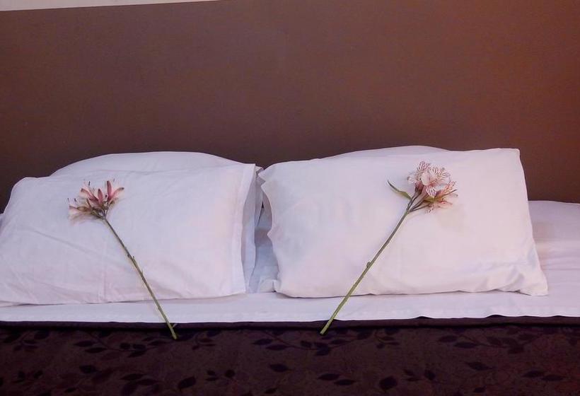 Hotel Estrellita Del Sur | Nasca | Nazca | Perú 7